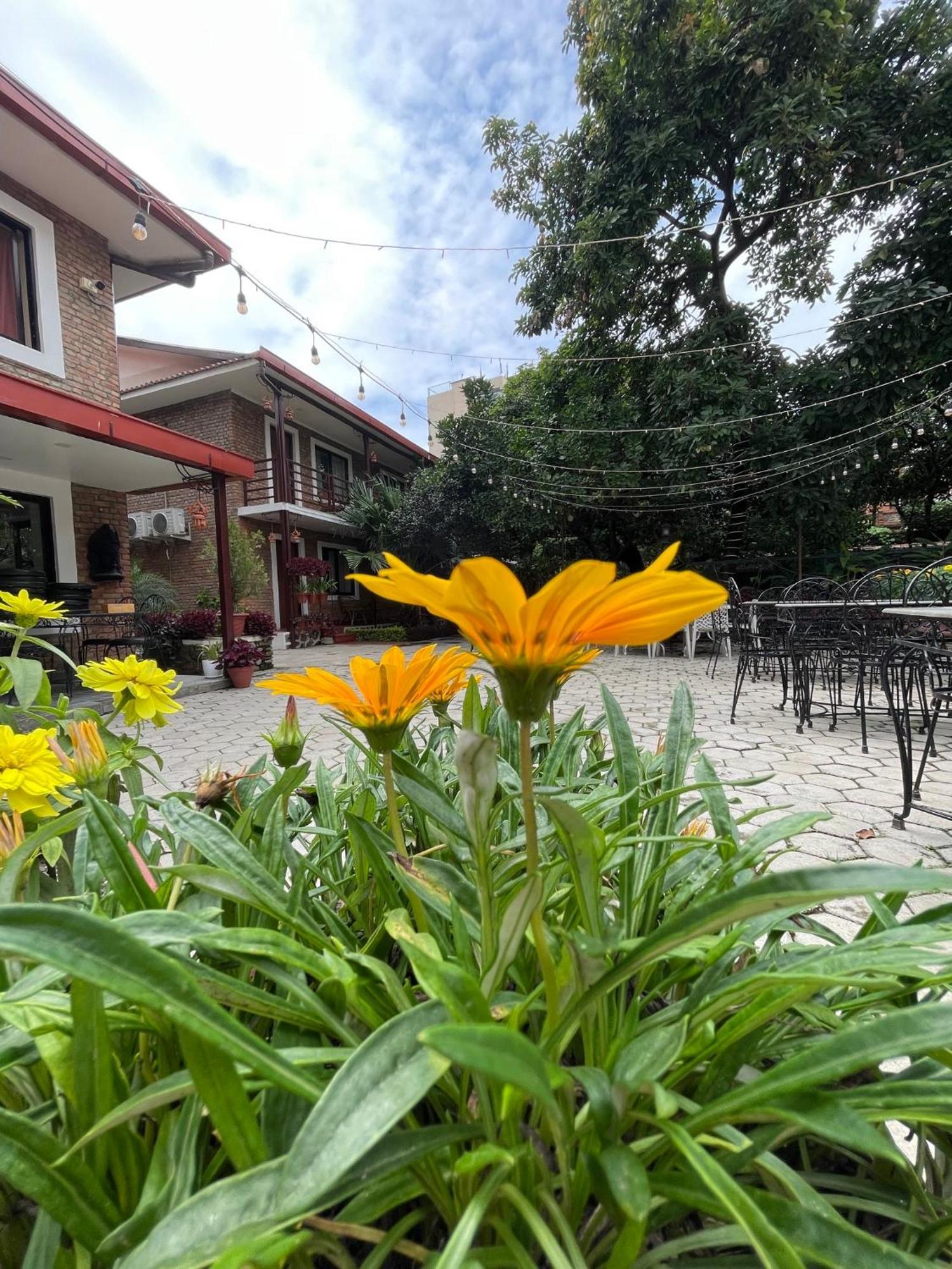 Nepal Cottage Resort Κατμαντού Εξωτερικό φωτογραφία